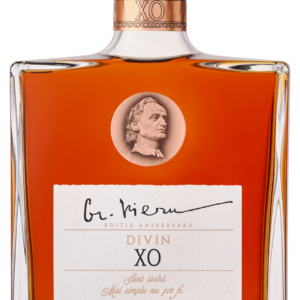 Divin XO "Grigore Vieru"